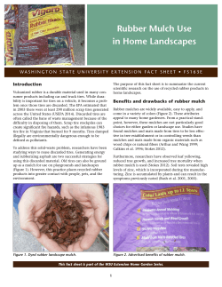 Rubber Mulch Use in Home Landscapes