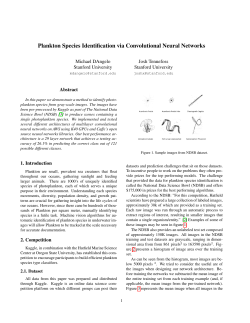 Plankton Species Identification via Convolutional Neural Networks