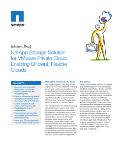 NetApp Storage Solution for VMware Private Cloud