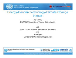 Energy-Gender-Technology-Climate Change Nexus Joy Clancy