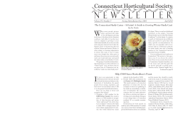 The Connecticut Hardy Cactus â It Exists! A Guide to Growing Winter