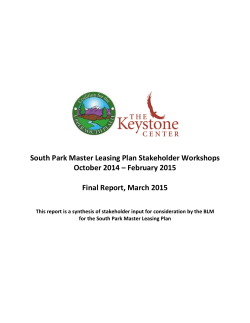 South Park Master Leasing Plan Stakeholder Workshop Final Report