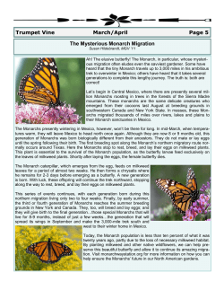 The Mysterious Monarch Migration