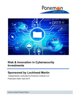 Risk & Innovation in Cybersecurity Investments FINAL1