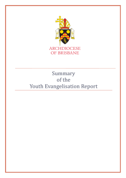 Summary of the Youth Evangelisation Report