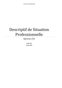 Descriptif de Situation Professionnelle - PrÃ©sentation