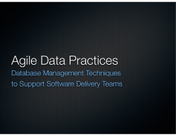 Agile Data Practices - Database Management