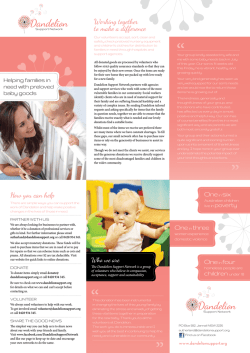 brochure - Dandelion Support Network