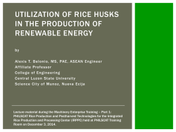 utilization of rice husk in the production of renewable energy