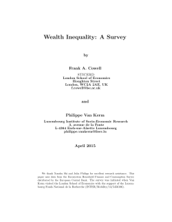Wealth Inequality: A Survey