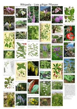 Wikipedia - Liste giftiger Pflanzen