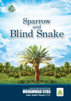 Sparrow and Blind Snake - ÚÚÛØ§ Ø§ÙØ± Ø§ÙØ¯Ú¾Ø§ Ø³Ø§ÙÙ¾ - Dawat-e