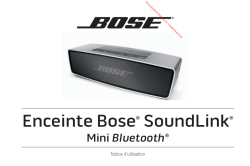 Enceinte BoseÂ® SoundLinkÂ®
