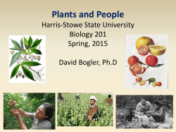 Plants and People - David Bogler Home