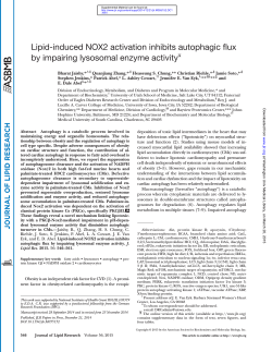 Lipid-induced NOX2 activation inhibits autophagic flux by impairing