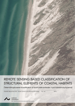 Remote sensing based classification of structural elements of