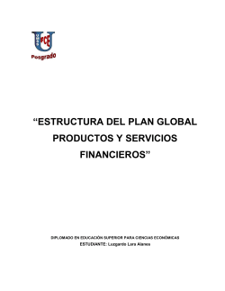 Plan global Luzgardo Lara - DDigital UMSS