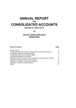 Annual Report and Consolidated Accounts Delarka Holding 2014