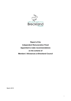 Report of the Independent Remuneration Panel (March 2015)