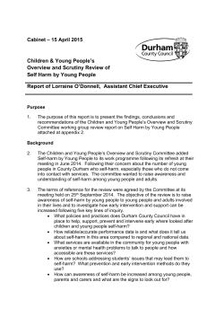 Children & Young People`s Overview and Scrutiny Review of Self