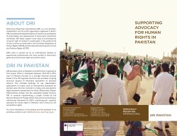 project brochure - Democracy Reporting International