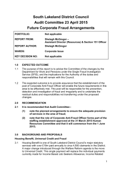 future corporate fraud arrangements pdf 170 kb