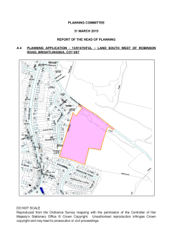 PLANNING COMMITTEE 31 MARCH 2015 REPORT OF THE HEAD