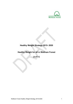 Healthy Weight Strategy 2015 - Meetings, agendas, and minutes