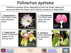 Pollination systems