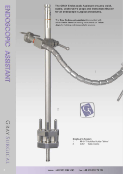 The GRAY Endoscopic Assistant ensures quick, stable, unobtrusive
