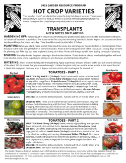 hot crop seed and plant instructions
