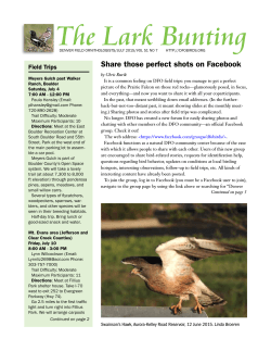 The Lark Bunting - Denver Field Ornithologists