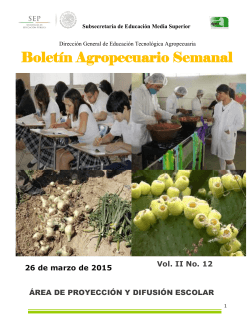 BoletÃ­n Agropecuario Vol II No 12 - dgeta