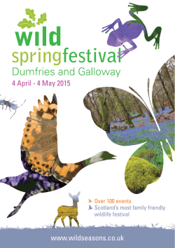 2015 Wild Spring Festival Brochure here