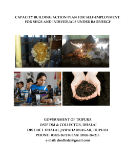 capacity building action plan for self-employment