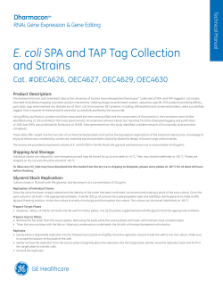 E. coli SPA and TAP Tag Collection and Strains