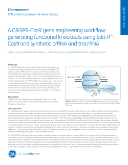 A CRISPR-Cas9 gene engineering workflow