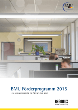 BMU FÃ¶rderprogramm 2015
