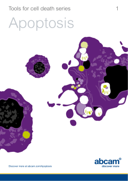 Tools for cell death series - Apoptosis