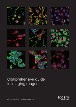 Comprehensive guide to imaging reagents