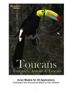 Toucans - Daz 3D