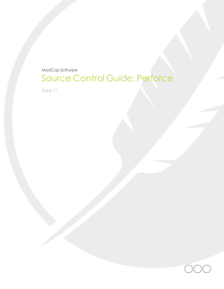 Flare Source Control Guide: Perforce