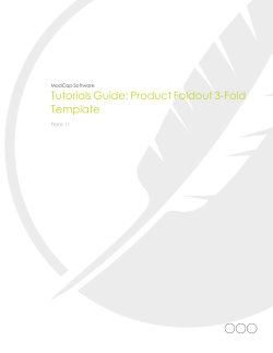 Product Foldout 3-Fold Template