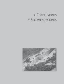 capitulo 7 conclusiones y recomendaciones