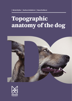 Topographic anatomy of the dog