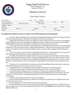Doggy Dog World Rescue Adoption Contract