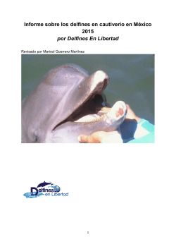 Informe sobre los delfines en cautiverio en MÃ©xico