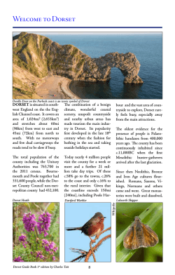 Introduction - Dorset Guide Home Page