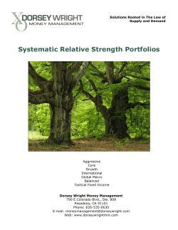 Systematic Relative Strength Portfolios