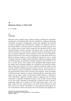 "Molecular Motors in Plant Cells". In: Molecular Motors